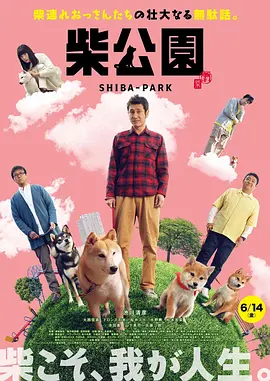 妻子的101婚姻
